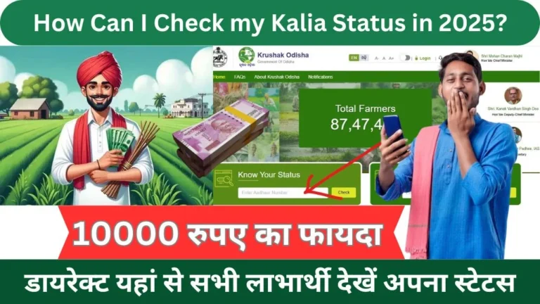 How can I check my KALIA status in 2025? @kalia.odisha.gov.in