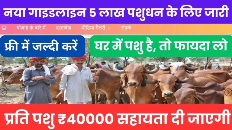 Mukhyamantri mangla pashu bima yojana