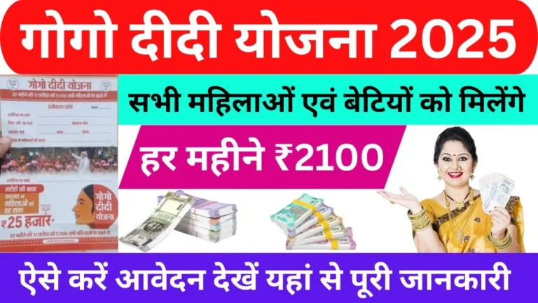 Gogo Didi Yojana 2025 Form Apply