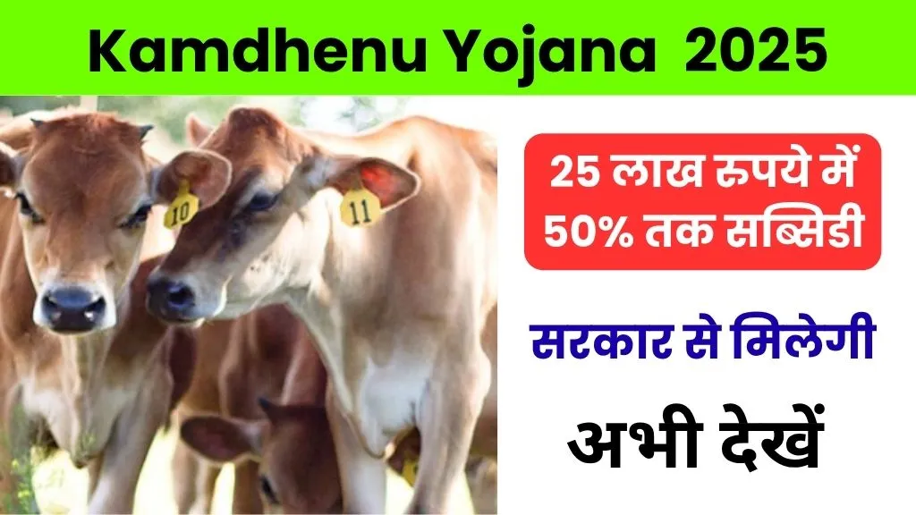 Kamdhenu Yojana MP: 25 लाख रुपये में 50% तक सब्सिडी सरकार से मिलेगी, जल्दी करें ऐसा मौका फिर कभी नहीं